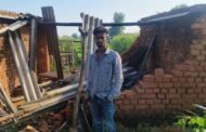जंगली हाथियों के झुंड ने मचाया उत्पात, मक्के की फसल रौंदी, घर और ड्रिप पाइपलाइन क्षतिग्रस्त