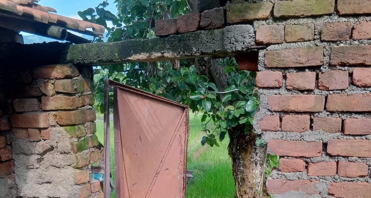 भदानीनगर के सुद्दी में हाथीयों का आतंक कई घरों को पहुंचा नुकसान, खाया अनाज