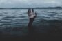 भदानीनगर के सुद्दी में हाथीयों का आतंक कई घरों को पहुंचा नुकसान, खाया अनाज