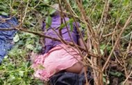गुमला में गजराज का तांडव: सुबह-सुबह वृद्ध को कुचलकर मार डाला,गांव में हड़कंप