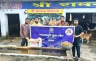 मारवाड़ी युवा मंच ने किया गौ सेवा कार्यक्रम, गायों को खिलाई लापसी व गुड़