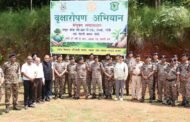 500 पौधों से सजा केंद्रीय रिजर्व पुलिस बल केंद्र रांची परिसर