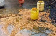 बरकाकाना पुलिस ने हेहल में छापामारी चलकर 40 किलो जावा महुआ किया नष्ट