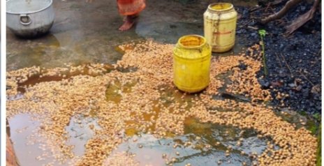 बरकाकाना पुलिस ने हेहल में छापामारी चलकर 40 किलो जावा महुआ किया नष्ट