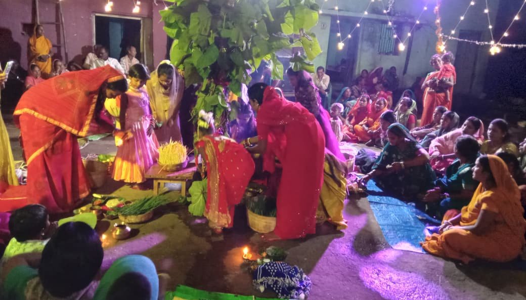 प्रकृति से जुड़ा त्यौहार करमा महोत्सव हुआ धूमधाम से सम्पन्न